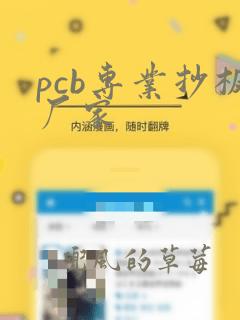 pcb专业抄板厂家