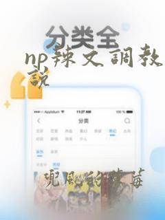 np辣文调教小说