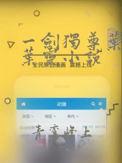一剑独尊叶玄,叶灵小说