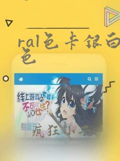 ral色卡银白色