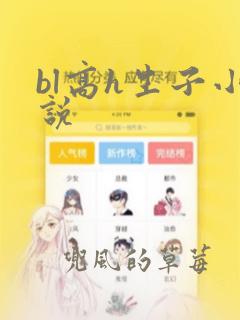 bl高h生子小说