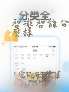 智微智能公司怎么样