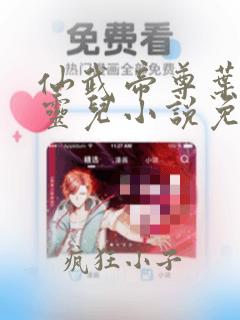 仙武帝尊叶辰楚灵儿小说免费阅读