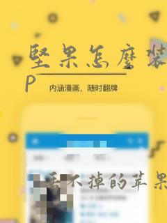 坚果怎么装app