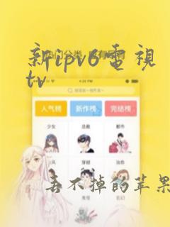 新ipv6电视tv