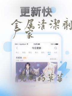 金属清洁剂生产厂家