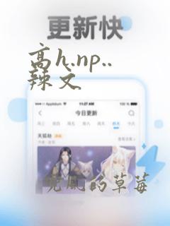 高h.np..辣文