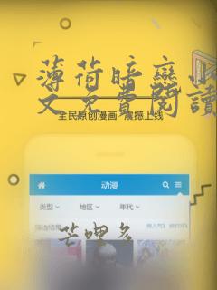 薄荷暗恋小说全文免费阅读笔趣阁