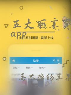 五大联赛买球的app