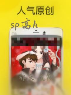 sp高h