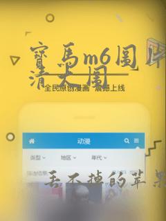 宝马m6图片高清大图