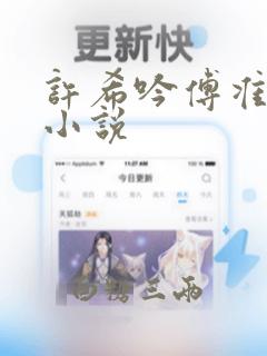 许希吟傅准礼的小说