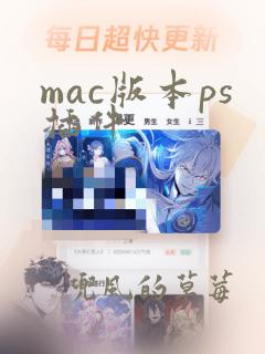 mac版本ps插件