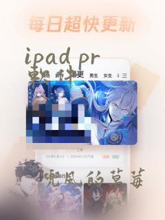 ipad pr软件