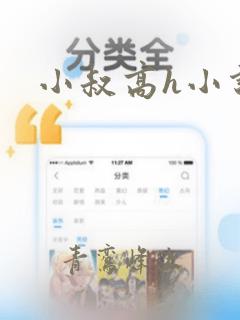 小叔高h小说