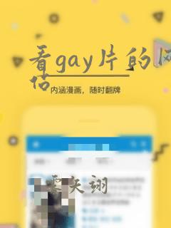 看gay片的网站