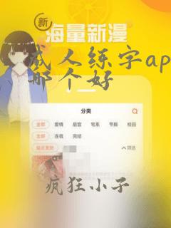 成人练字app哪个好