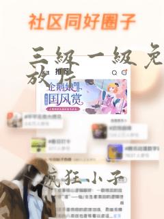 三级一级免费播放片