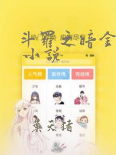 斗罗之暗金斗罗 小说