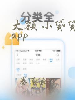 大额 小贷贷款app