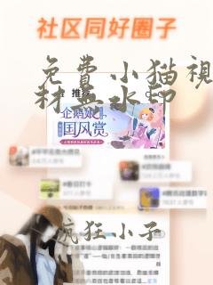 免费小猫视频素材无水印