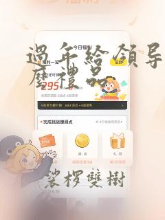 过年给领导送什么礼品