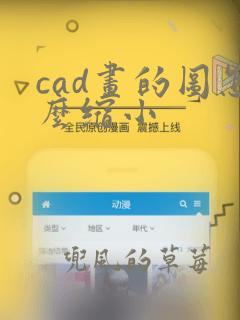 cad画的图怎么缩小