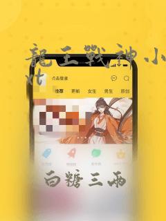 龙王战神小说txt