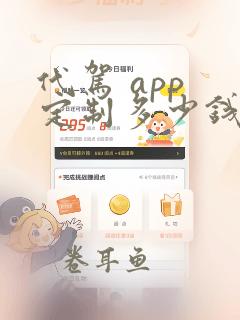 代驾 app 定制多少钱