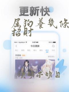 属狗养几条鱼最招财