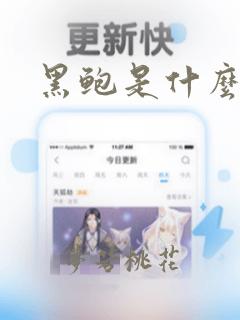 黑鲍是什么