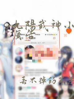 九阳武神小说无广告