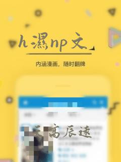 h湿np文