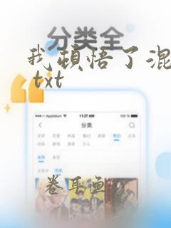 我顿悟了混沌体 txt