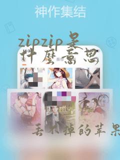 zipzip是什么意思