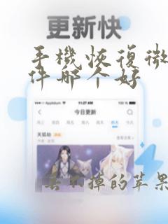 手机恢复微信软件哪个好