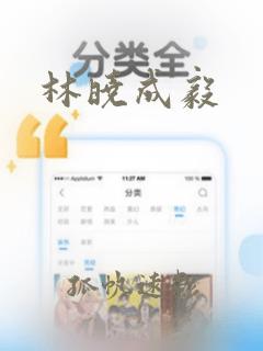 林晓成毅