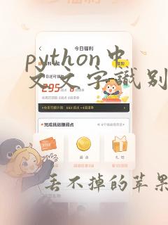 python中文文字识别