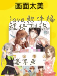 java软件编程培训班