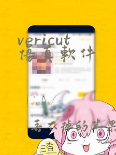 vericut仿真软件