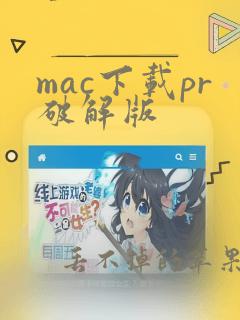 mac下载pr破解版