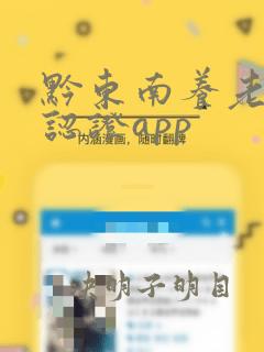 黔东南养老保险认证app