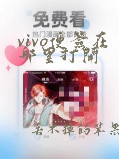 vivo便签在哪里打开