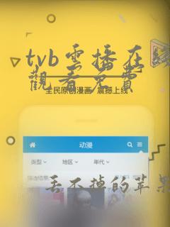 tvb云播在线观看免费