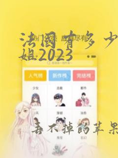 法国有多少名空姐2023