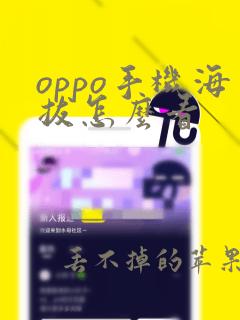 oppo手机海拔怎么看