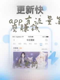 app有流量怎么赚钱