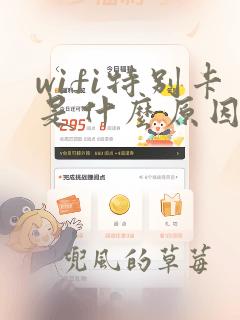 wifi特别卡是什么原因