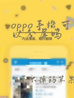 oppo手机可以分屏吗