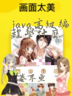 java高级编程学什么